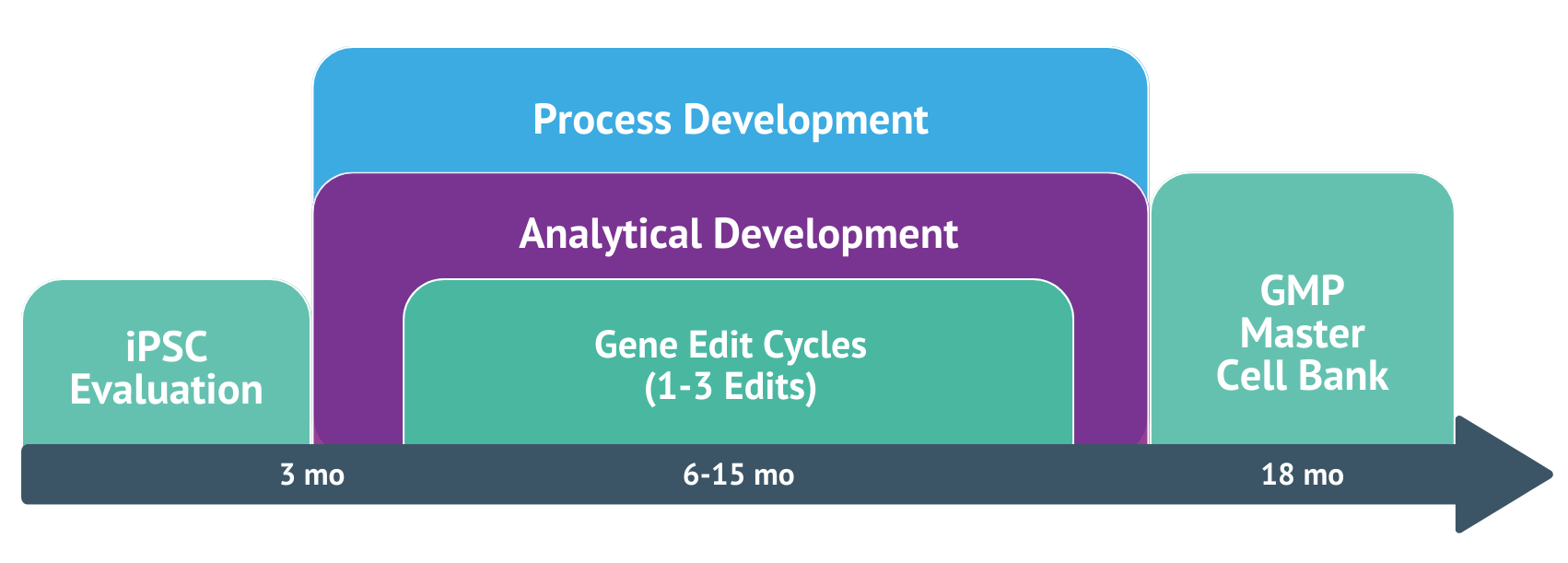 The panCELLa Platform therapeutic development timeline.