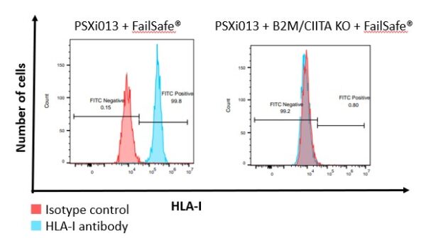 PluriBank FailSafe B2M/CIITA knockout R&D Vial - Image 6